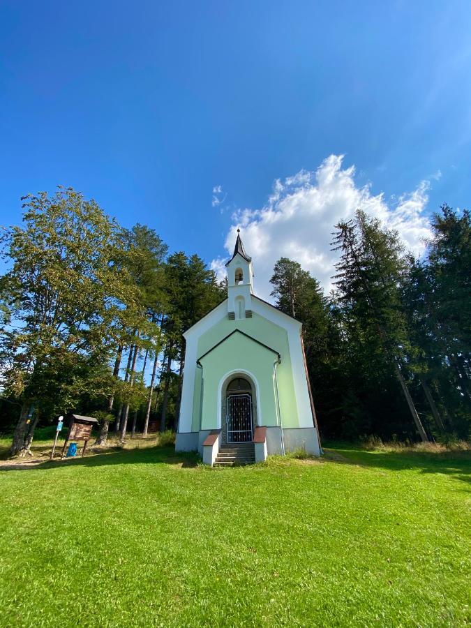 Apartmany Lipno 46 Lipno nad Vltavou Zewnętrze zdjęcie