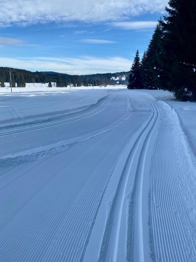 Apartmany Lipno 46 Lipno nad Vltavou Zewnętrze zdjęcie