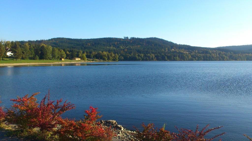 Apartmany Lipno 46 Lipno nad Vltavou Zewnętrze zdjęcie